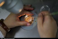 فریز تخمک در دمای منفی ۹۶ درجه” راهی برای مادر شدن در آینده فریز تخمک در دمای منفی ۹۶ درجه” راهی برای مادر شدن در آینده