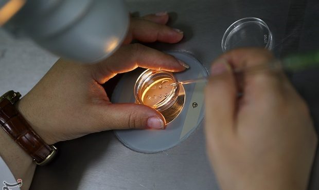 فریز تخمک در دمای منفی ۹۶ درجه” راهی برای مادر شدن در آینده