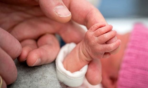 ثبت بیش از ۱۰۰۰۰ ولادت ایرانیان خارج از کشور در سال ۱۴۰۲ ثبت بیش از ۱۰۰۰۰ ولادت ایرانیان خارج از کشور در سال ۱۴۰۲