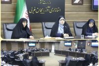 برگزاری ششمین جلسه کمیته بانوان ستاد بزرگداشت کنگره ملی سرداران و ۱۲هزار شهید استان.